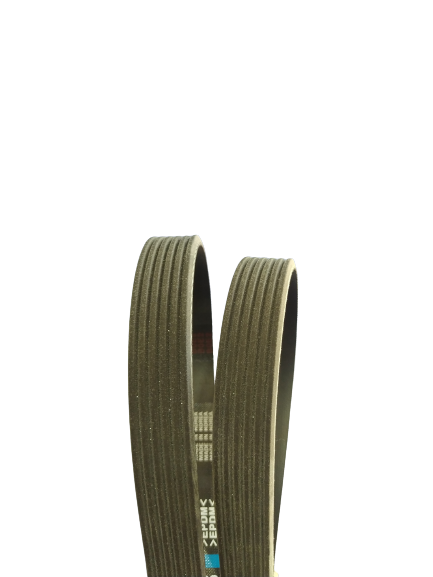 تسمه دینام دانگیل ماکسیما کره