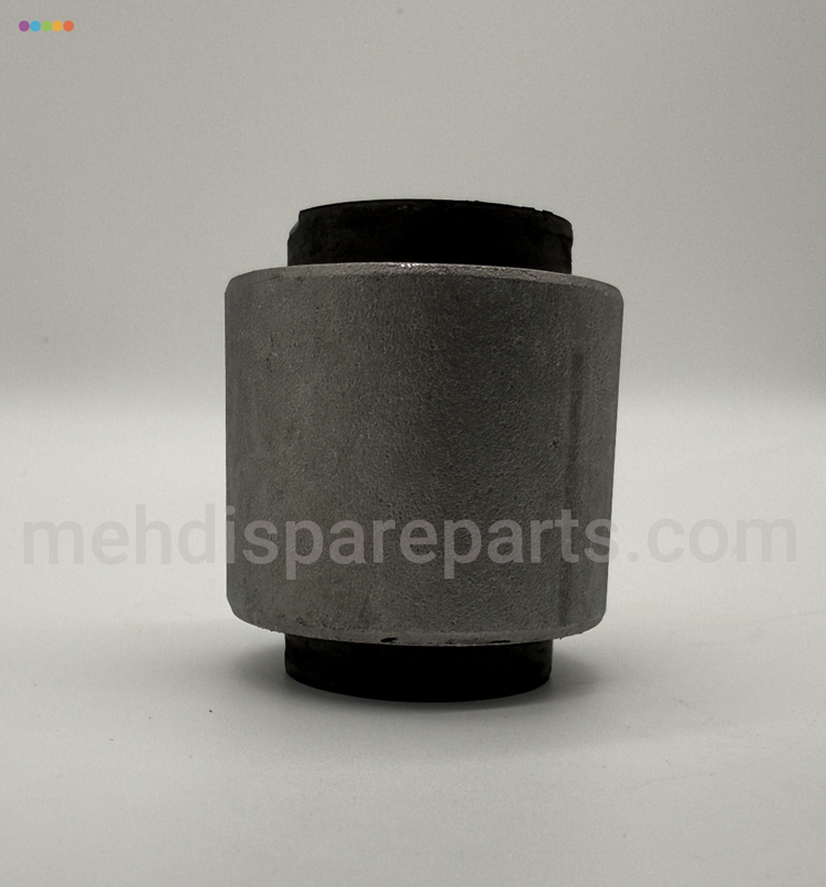 بوش بزرگ رام ماکسیما